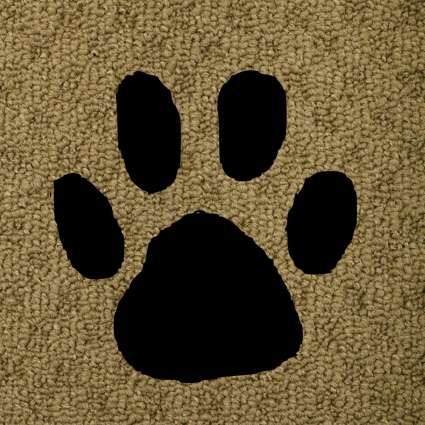 animal stains carpet